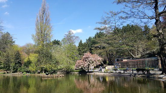 The Arboretum